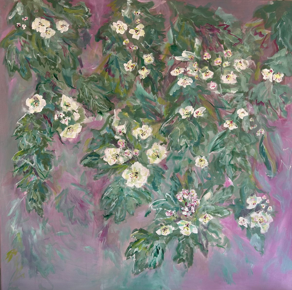 Hawthorn Blossom