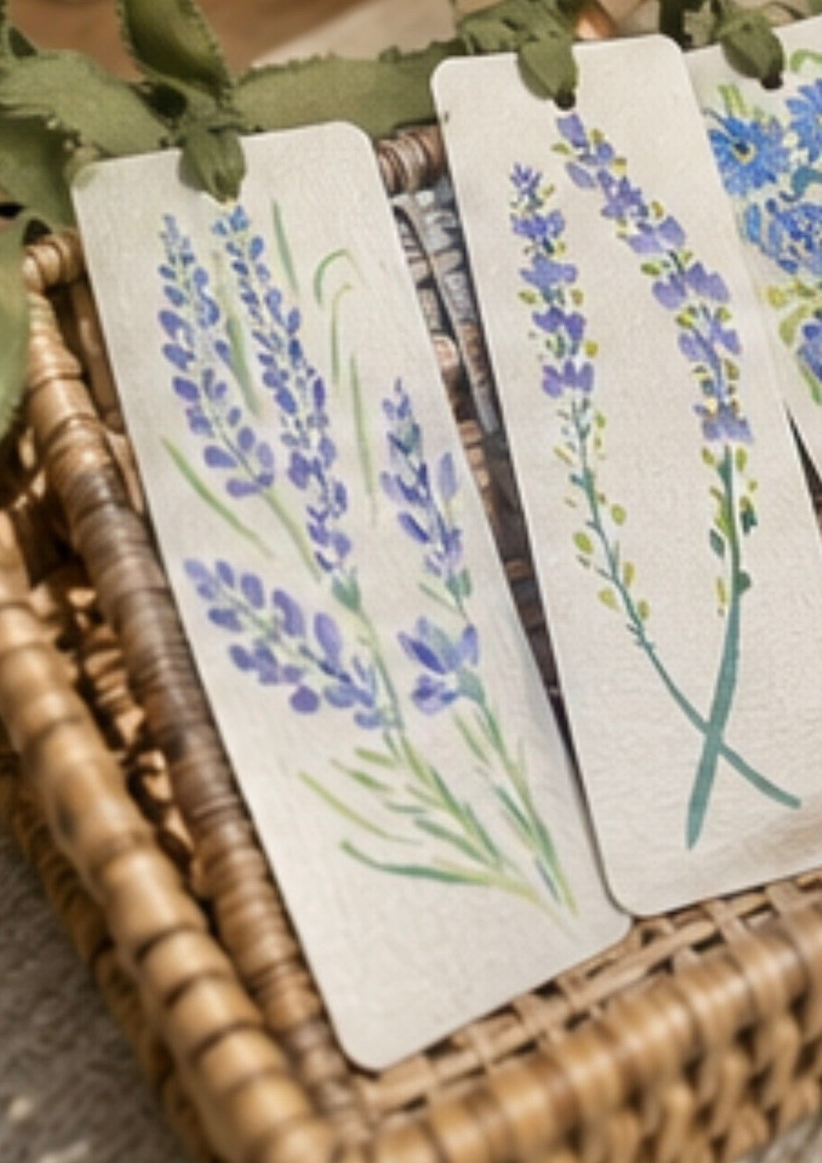 6 piece Nature Lovers gift set